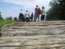 Jasenovac 3 prilaz spomeniku