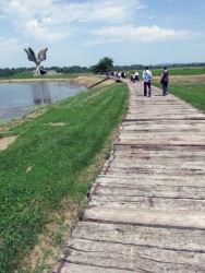 Jasenovac 5 prilaz spomeniku Cvet