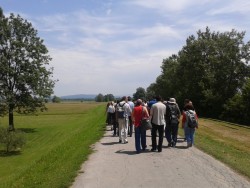 Jasenovac 16 prilaz spomeniku